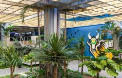 Veja como ser o funcionamento dos rgos pblicos estaduais no aniversrio de Cuiab