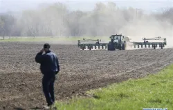 Alta no preo global de alimentos acende alerta e cria oportunidades para o agro brasileiro
