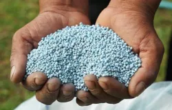 Poder de compra de fertilizantes atinge o menor nvel em mais de 30 meses no Brasil