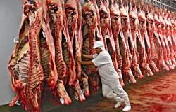 Lder da pecuria nacional registra o melhor preo da carne bovina exportada desde 2022