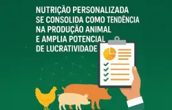 Nutrio animal personalizada se torna estratgia essencial para aumentar a rentabilidade das granjas
