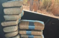 Ao integrada da PM e PRF apreende 30 quilos de entorpecentes em Pedra Preta