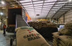 Tarifas dos EUA sobre caf brasileiro podem afetar comrcio global e pressionar inflao, aponta Hedgepoint