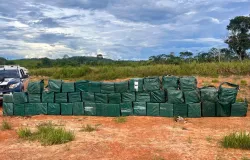 Foras de segurana apreendem 35 toneladas de drogas em 2025 em Mato Grosso