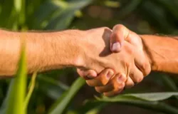 Governana e gesto elevam valuation de empresas do agro em 2025