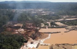 Sarar� � a Terra Ind�gena mais desmatada da Amaz�nia Legal em 2024, aponta relat�rio