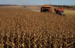 Mato Grosso tem maior procura de recupera��o judicial no agro no 3� trimestre deste ano