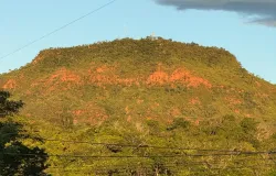 Amplia��o da rede trif�sica vai ser um divisor de �guas, afirma agricultor familiar