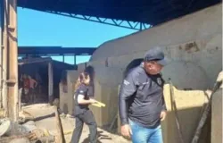 Pol�cia Civil incinera mais de meia tonelada de maconha em Porto Alegre do Norte