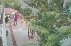 Bombeiro militar salva rec�m-nascido de quatro dias que engasgou com leite materno