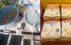�gua de cidade em MT pode ter sido tratada com cal de obra