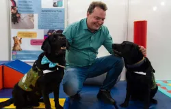 Deputado cria censo para contar c�es e gatos em Mato Grosso
