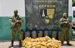 Cachorros-quente de 73 kg escondido em barris de leite � apreendido em mata no Mato Grosso
