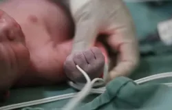 Beb� rec�m-nascida � abandonada viva em lixeira de hospital em Nova Xavantina