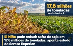 El Ni�o pode reduzir safra de soja em 17,6 milh�es de toneladas, aponta estudo da Serasa Experian