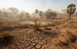 Calor�o atinge 40�C no Pantanal e outros estados: entenda o alerta