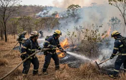 Bombeiros de MT combatem 13 inc�ndios florestais neste s�bado