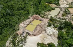 Governo Lula inicia operao para expulsar garimpeiros da Terra Indgena Kayap, no Par