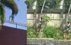 IML divulga causa da morte de jovem atacado por leoa em zoolgico; veja