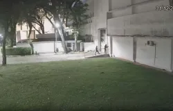 Entenda como foi o assalto ao instituto da USP durante o Ano Novo