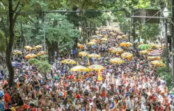 SP: Carnaval tem Galo da Madrugada, Cerca Frango e Carna Black Ritmo