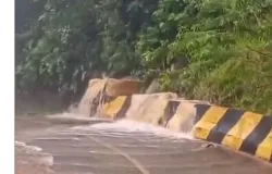 Tempestade deixa mais de 300 pessoas desabrigadas no litoral de S�o Paulo