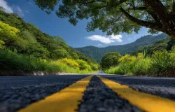 ARTIGO - Dos bandeirantes � supersafra: a voca��o produtiva que moldou o Brasil