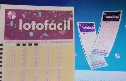 Lotof�cil 3638: quatro apostas de MT acertam 14 n�meros e faturam pr�mio; veja cidades