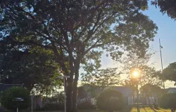 Previs�o indica domingo de calor e pancadas de chuva em Mato Grosso do Sul