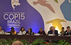 COP15: confira a programa��o da Confer�ncia sobre Esp�cies Migrat�rias em Campo Grande