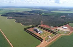 MyCarbon estreia projeto de carbono Revitalis com 4,3 mil hectares da Morena Agro