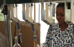 Dia das M�es: ap�s nascimento da filha, empres�ria encontrou no campo um novo prop�sito