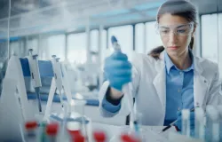 Aplica��o de melatonina aumenta efic�cia de transplante de tecido ovariano