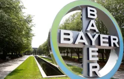 Vendas de sementes de soja disparam e ajudam agricultura da Bayer