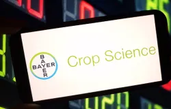 Bayer surpreende e lucra mais do que o esperado com a divis�o agr�cola