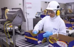 JBS tem lucro menor e margem apertada por crise nos EUA