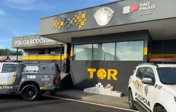 Pol�cia apreende quase meia tonelada de 'supermaconha' e folhas de coca�na no interior de SP