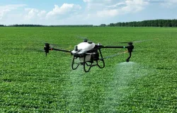 Tecnologia e pesquisa ajudam o agro de Mato Grosso do Sul a crescer