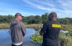 Curso ensina pequenos produtores a criar peixes como nova fonte de renda