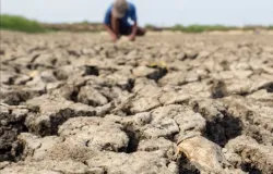 Guerra e El Ni�o fazem comida ficar mais cara em 2026