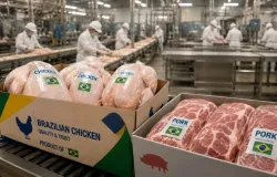 Exporta��es de frango e porco batem recorde e somam US$ 1,3 bilh�o em maio, apesar da guerra