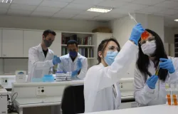 USP cria nanopart�cula que trata doen�as de pele com mais precis�o