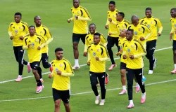 Brasil e �frica do Sul: mais parecidos do que voc� imagina