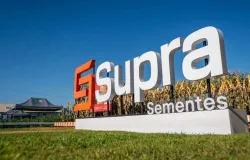 Supra quer ser uma das maiores marcas de sementes de milho do Brasil