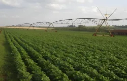Startup usa tecnologia para prever falta de �gua no campo