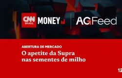 Supra quer ser uma das maiores em sementes de milho