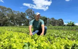 Carrefour Brasil ajuda produtores e investe em comida mais segura do campo � mesa