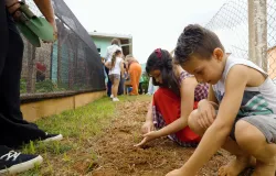Projeto premiado em escola rural usa natureza e saberes tradicionais para ensinar