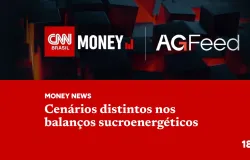 Balan�os do setor de cana mostram resultados diferentes entre usinas