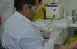 Doen�a falciforme: sintomas que v�o al�m da anemia e causam dores fortes